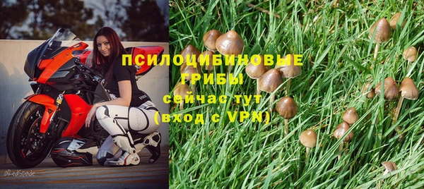 тгк Балахна
